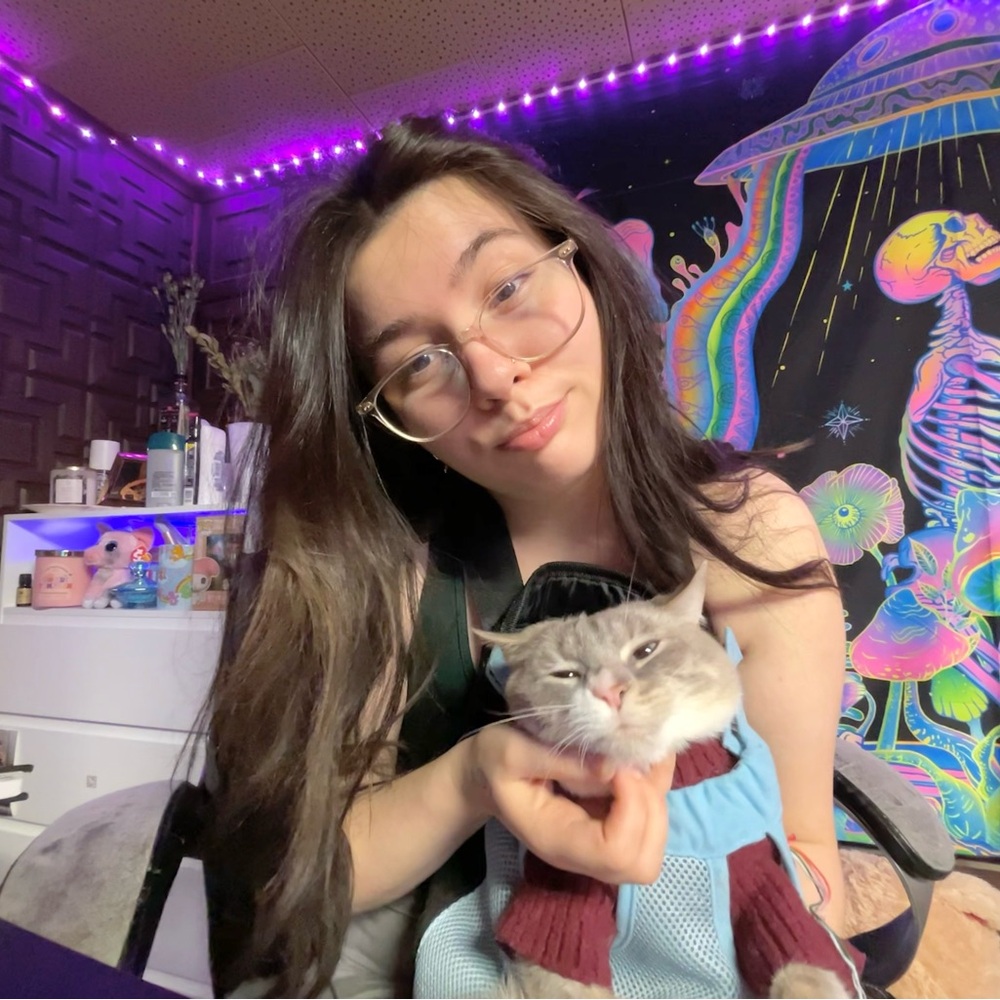 Amazon Essentials Vibrant Wall Art with Purple and Blue Accents